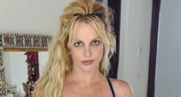 As Britney Spears is arrested for suspected DUI, we revisit what the troubled star - and those close to her - have said about her mental health