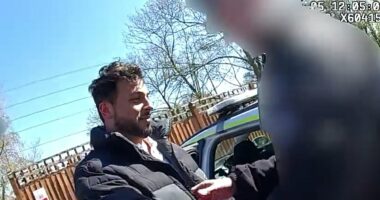 Asylum seeker set fire to taxpayer-funded migrant hotels, court hears