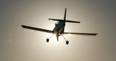 At least 2 dead after plane crashes into Alabama bay