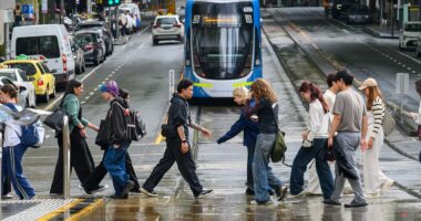 Aussie farmers make huge request for those living in the city