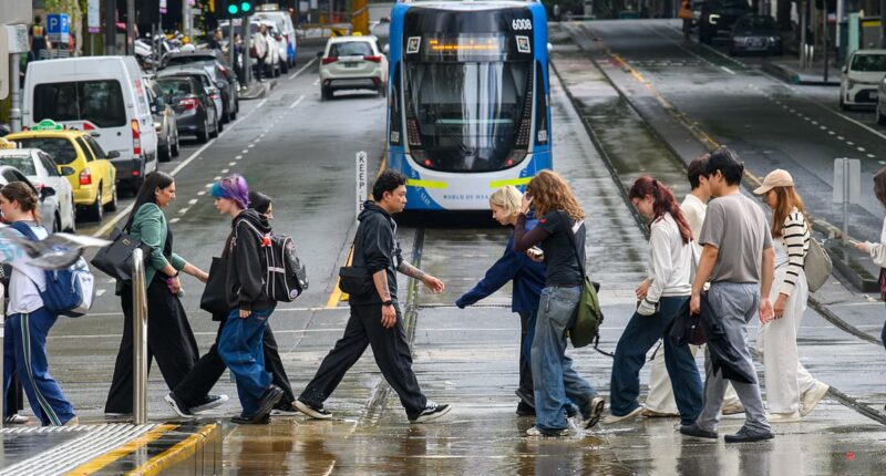 Aussie farmers make huge request for those living in the city