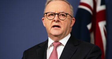 Aussies call for mandatory work from home