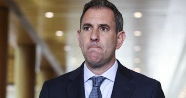 Treasurer Dr Jim Chalmers addresses the media at a press conference at Parliament House in Canberra on Wednesday 26 November 2025.