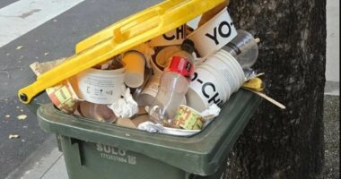 Aussies warned rubbish might not be picked up as fuel crisis drags on