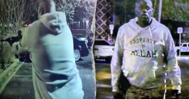 Austin mass shooting suspect avoided felony in 2022 case, misdemeanor later dismissed after plea deal: docs