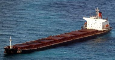 Australia's biggest supplier of aviation fuel halts exports