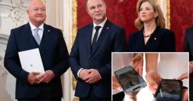 Austria plans to ban social media use for under-14s