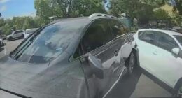 Baby caught up in allegedly drunk driver's rampage