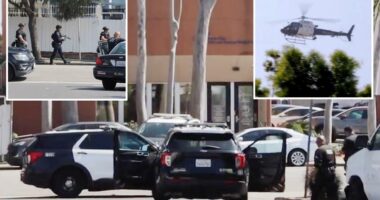 Barricaded suspect busted after police swarm Venice