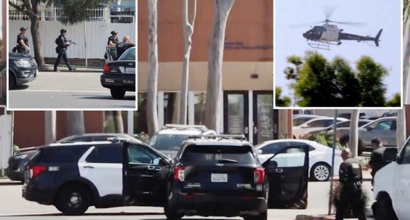 Barricaded suspect busted after police swarm Venice