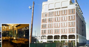 Bartender sues LA's Soho House claiming boss drugged, raped her