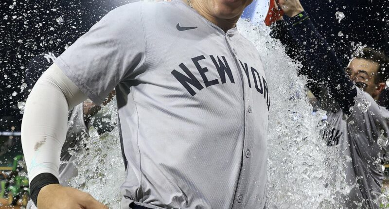 Baseball is BACK! Yankees fought off spiders and sewage in preseason... now Aaron Judge is plotting an even bigger shock