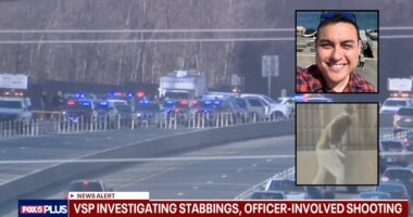 'Blood everywhere': State Department employee stabbed 4 women after crash on major highway in road rage rampage, killing 1 of them, cops say