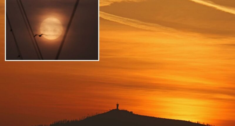 Blood rain falls across southern Europe