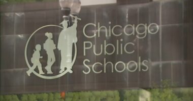 Board of Education announces finalists for Chicago Public Schools CEO, including current interim Dr. Macquline King