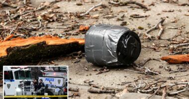 Bomb making paraphernalia found in vehicle near where explosives thrown at Gracie Mansion protest