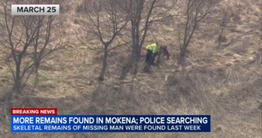 Bones found in Mokena, Illinois: More remains found at Townline Road and Oakwood Drive, where bones of Terhan F. Gordon recovered