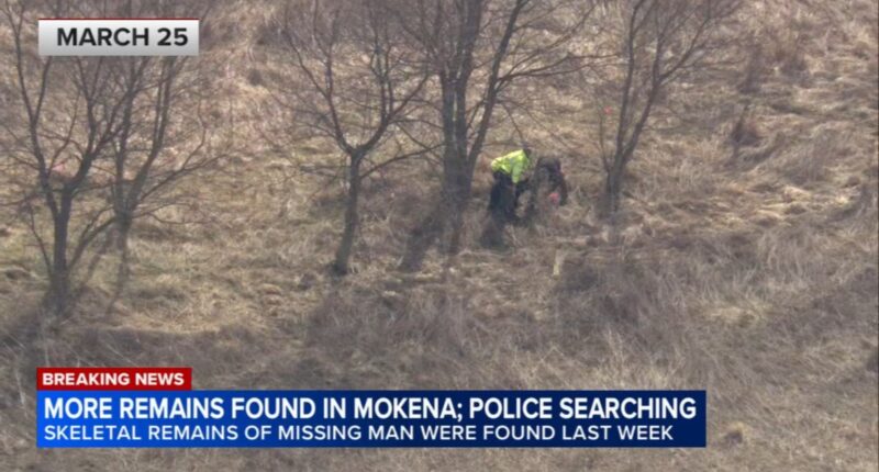 Bones found in Mokena, Illinois: More remains found at Townline Road and Oakwood Drive, where bones of Terhan F. Gordon recovered