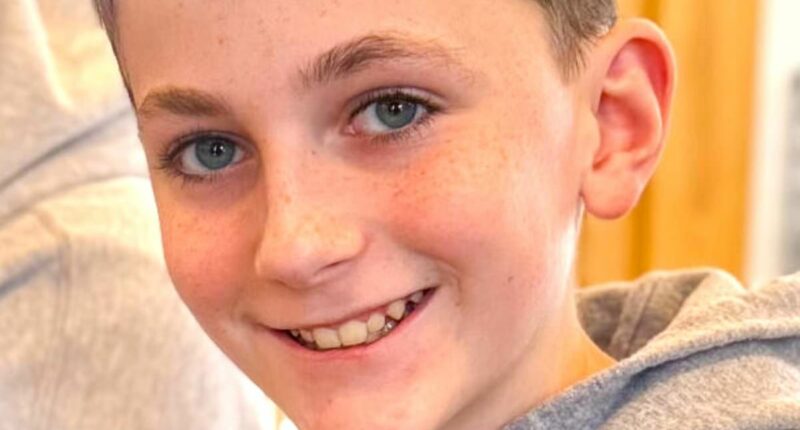 Boy, 12, among eight dead after tornadoes in Michigan and Oklahoma