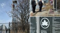 Boy, 16, falls to death while taking photos from cell tower at NYC park with skyline views: cops, sources