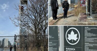 Boy, 16, falls to death while taking photos from cell tower at NYC park with skyline views: cops, sources