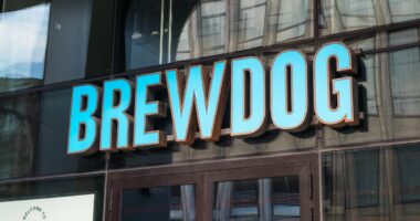 BrewDog is sold to US cannabis giant in £33million deal