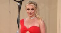 Britney Spears 911 dispatch call reveals harrowing highway chase
