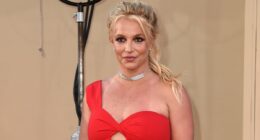 Britney Spears 911 dispatch call reveals harrowing highway chase