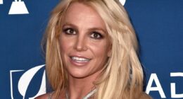 Britney Spears breaks her silence three weeks after DUI arrest