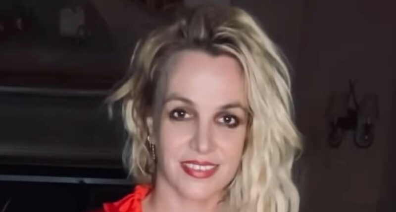 Britney Spears' son Jayden seen driving in LA after star's DUI arrest