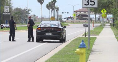 Brother, sister indicted in connection to 'improvised explosive' found at MacDill AFB