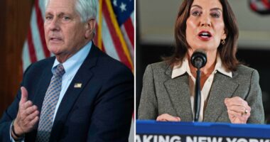 Bruce Blakeman gives Hochul reality check on her plea for rich people to return to NY