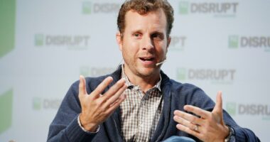 CEO of Ring says Nancy Guthrie would be found if people bought cameras