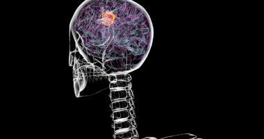 CIA backlash after hidden document hints at possible cancer cure