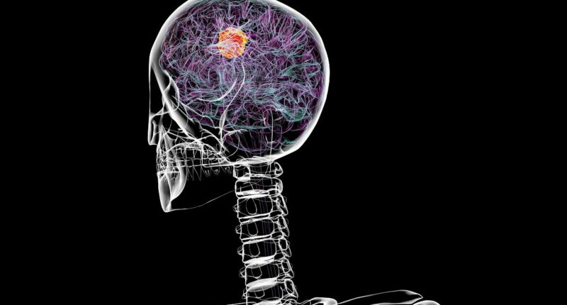 CIA backlash after hidden document hints at possible cancer cure