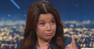 CNN hit by ANOTHER falsehood scandal after Ana Navarro arrogantly deflected attempts to fix her incorrect claim about NYC ISIS attack