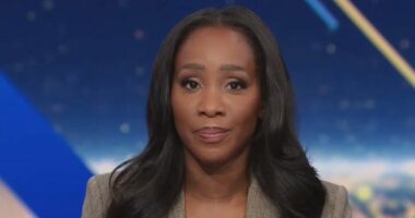 CNN host issues on-air apology over ISIS mistake made multiple times