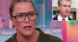 CNN panelist says of Gov. Gavin Newsom: 'I don't like him'