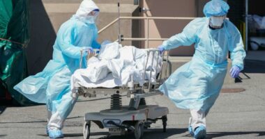 COVID-19 death toll in early days of the pandemic undercounted by over 150K: study
