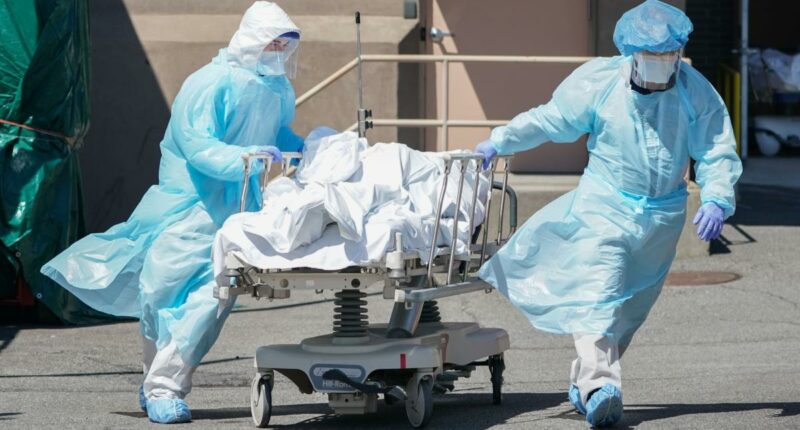 COVID-19 death toll in early days of the pandemic undercounted by over 150K: study