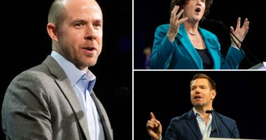 California Democrats panic as 2 Republicans lead governor's race