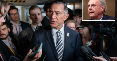 California Rep. Darrell Issa to retire, endorses Jim Desmond to succeed him