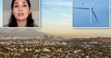 California air board chair hints controversial climate rule could change before vote