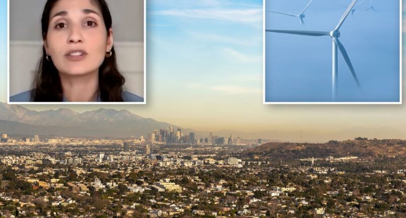 California air board chair hints controversial climate rule could change before vote