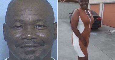 California man Darryl Lamar Collins sentenced to life without parole for killing Fatima Johnson after parole release