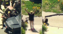 California man allegedly fires gun near school zone, barricades in home before surrendering to SWAT pantless