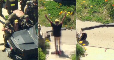 California man allegedly fires gun near school zone, barricades in home before surrendering to SWAT pantless