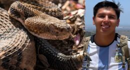 California mountain biker dies after month-long hospital stay following rattlesnake bite