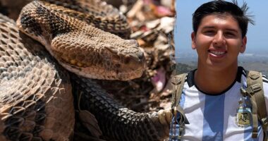 California mountain biker dies after month-long hospital stay following rattlesnake bite