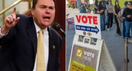 California voter ID petition to be submitted after 1.3M signatures